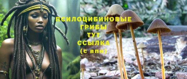бутират Арсеньев